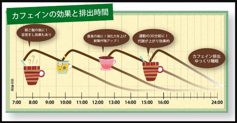 カフェイン半減期グラフ