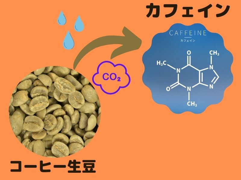 コーヒー生豆からカフェインの除去する説明画像