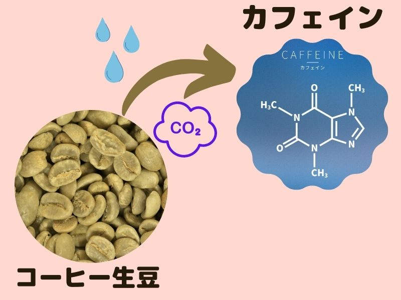 コーヒー生豆からカフェインの除去する説明画像